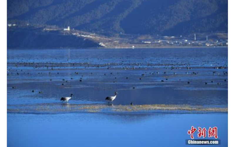 发改委要求：分阶段研究提出美丽中国建设预期目标