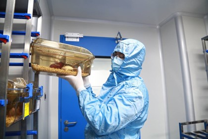 图片关键词 图片关键词