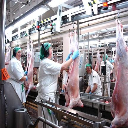 图片关键词 图片关键词