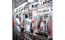 食品加工厨余真空收集系统