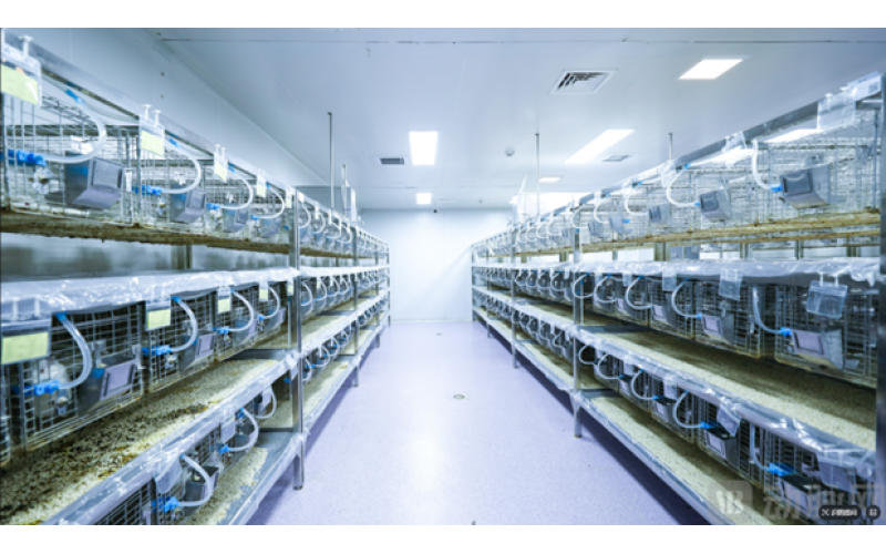 动物粪便真空排水系统-从养殖场到实验室的高效收集方案